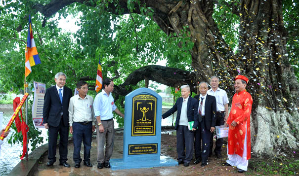 Cây[-]đầu[-]tiên[-]tại[-]huyện[-]Trực[-]Ninh[-]được[-]công[-]nhận[-]Cây[-]Di[-]sản[-]Việt[-]Nam